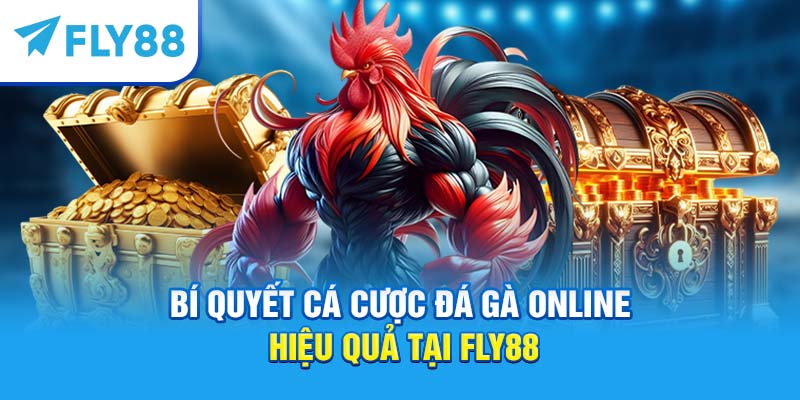 Cá Cược Đá Gà Online – Hướng Dẫn Chơi, Kinh Nghiệm Thắng Lớn 1 Bí quyết cá cược đá gà online hiệu quả tại Fly88